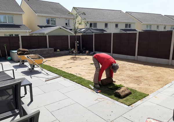 Grass laying Dublin